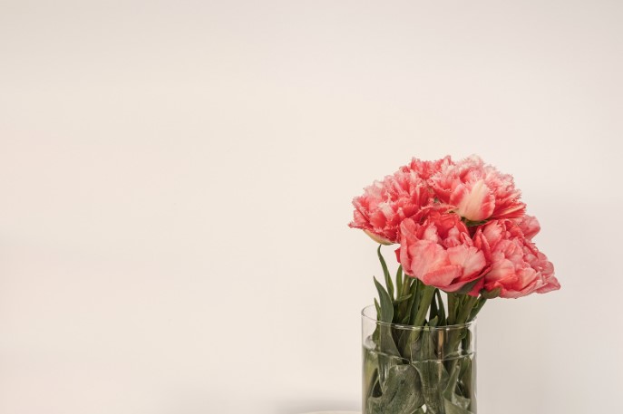 The Timeless Appeal of Roses: What Makes Them the Perfect Gift for Any Occasion