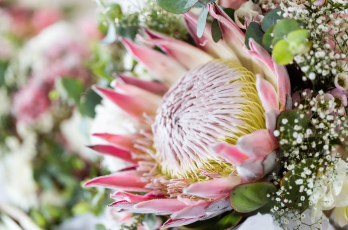 Most Romantic Flowers